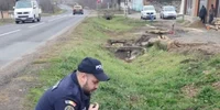 caine abandonat, IPJ Caras Severin jpg