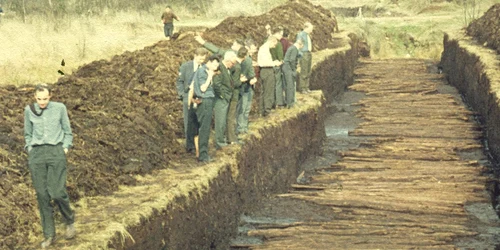 Veenweg DeHondsrug UGG jpg